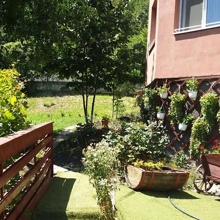 Casa Lorena Sărata-Monteoru エクステリア 写真