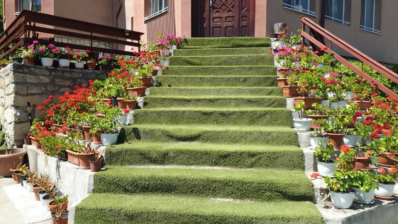 Casa Lorena Sărata-Monteoru エクステリア 写真