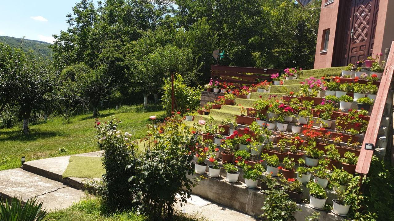 Casa Lorena Sărata-Monteoru エクステリア 写真