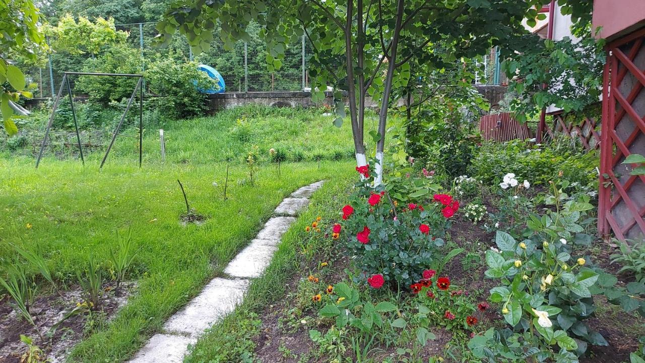 Casa Lorena Sărata-Monteoru エクステリア 写真