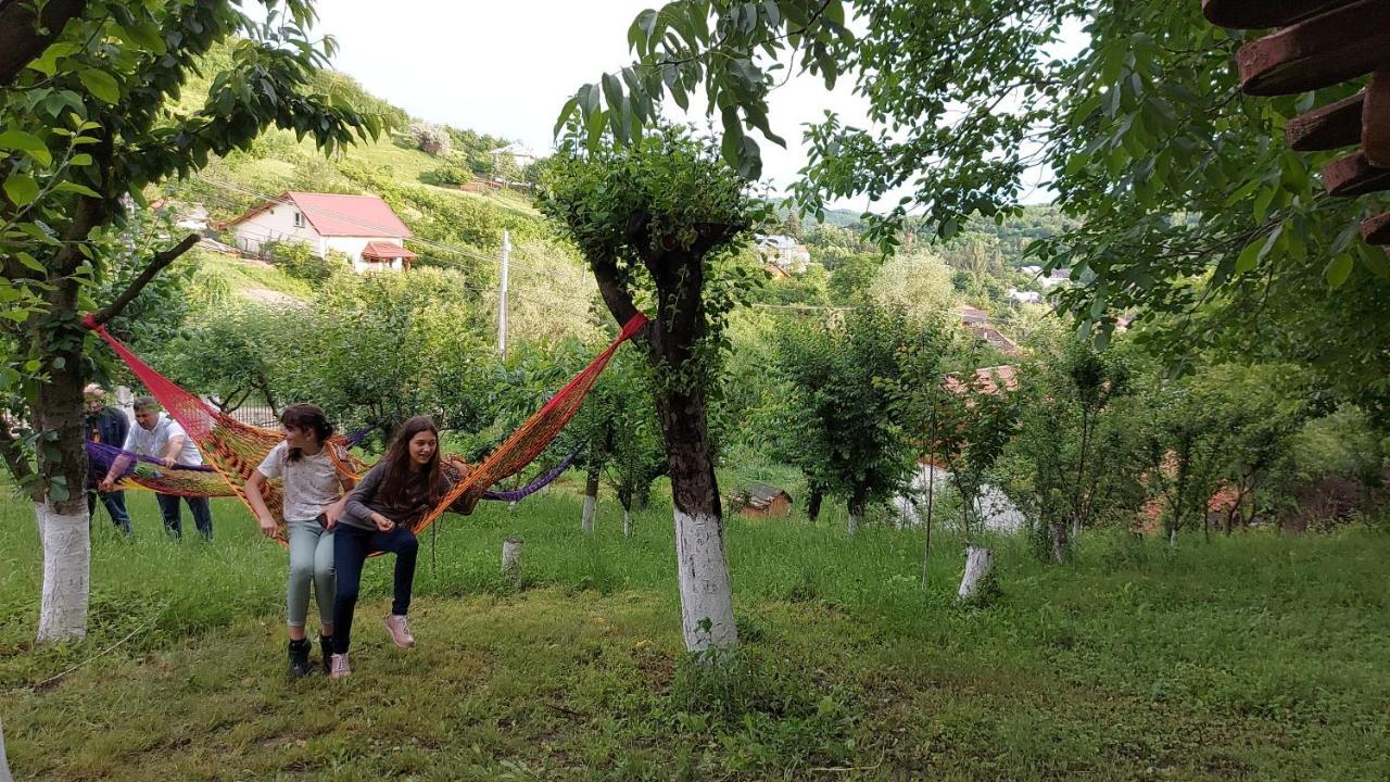 Casa Lorena Sărata-Monteoru エクステリア 写真