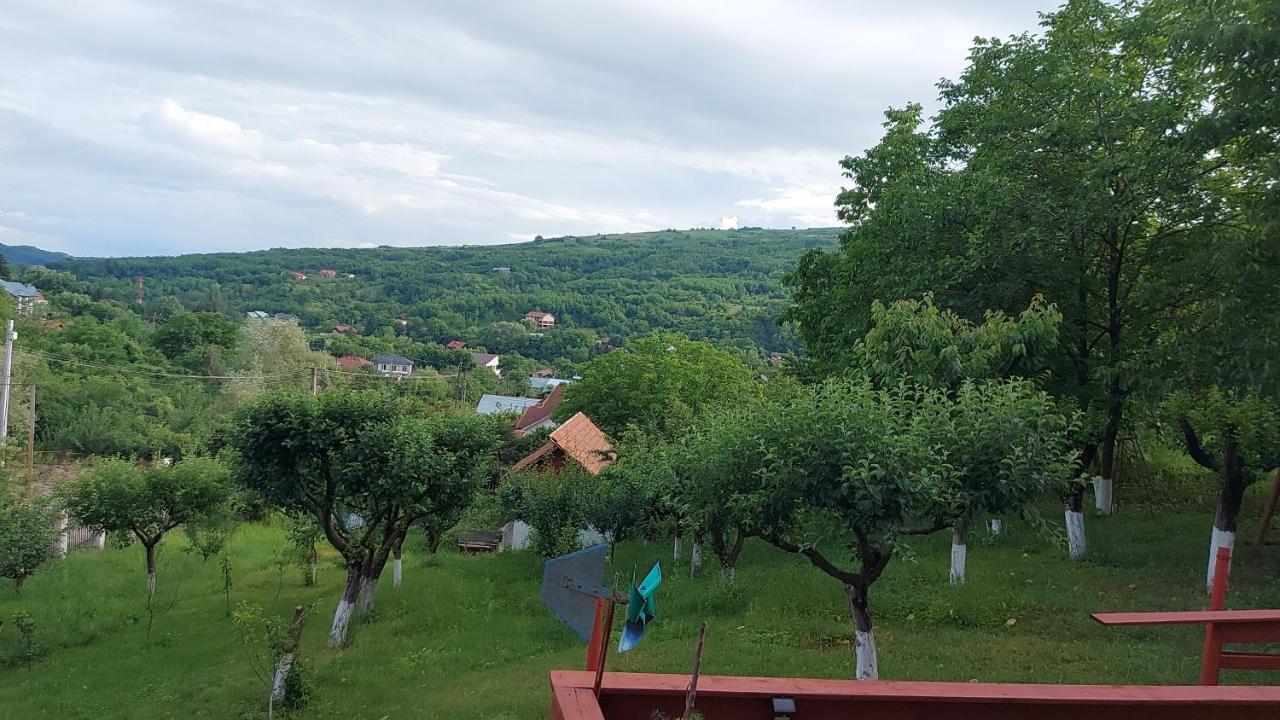 Casa Lorena Sărata-Monteoru エクステリア 写真