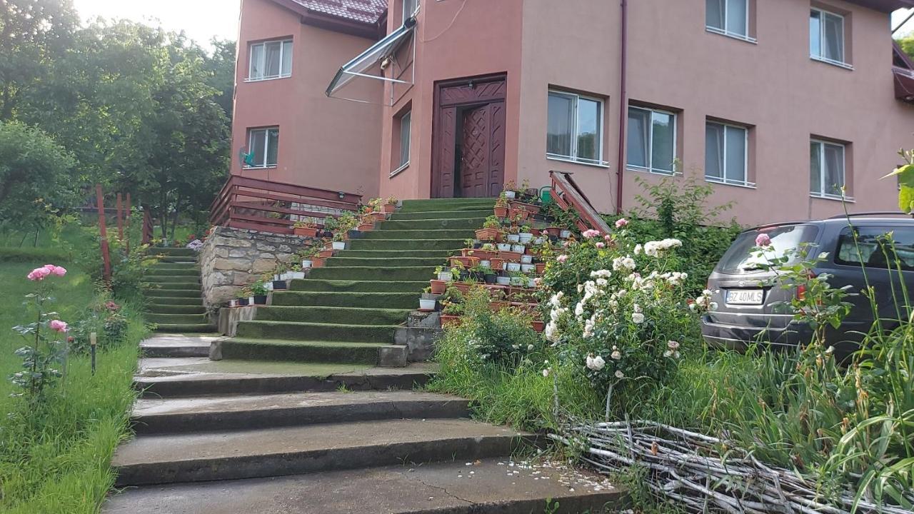 Casa Lorena Sărata-Monteoru エクステリア 写真