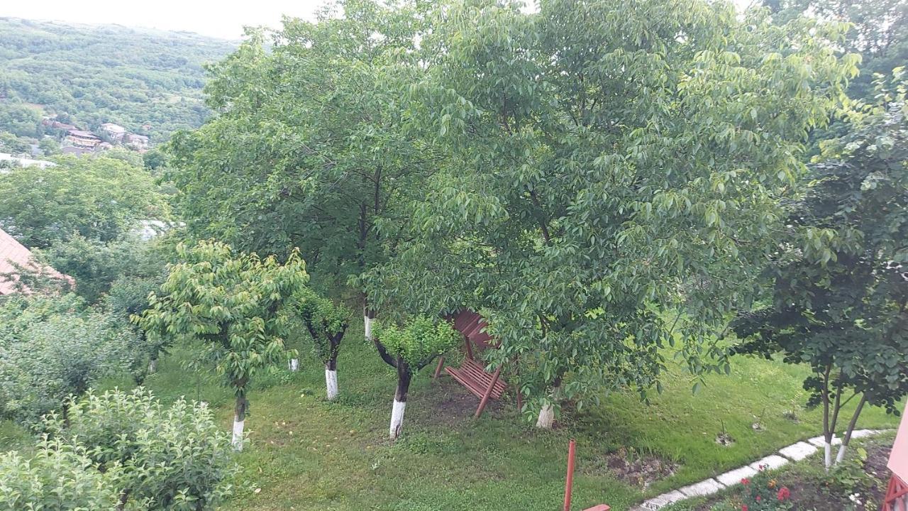 Casa Lorena Sărata-Monteoru エクステリア 写真