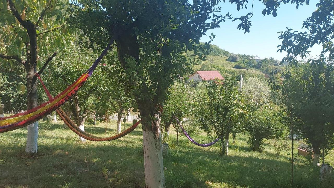 Casa Lorena Sărata-Monteoru エクステリア 写真