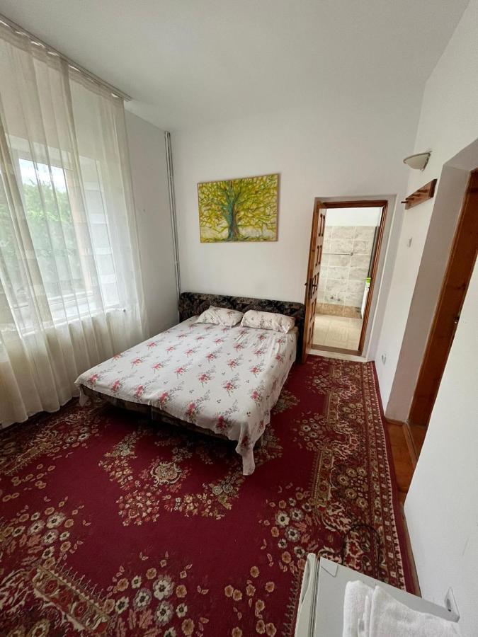 Casa Lorena Sărata-Monteoru エクステリア 写真