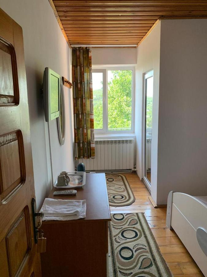 Casa Lorena Sărata-Monteoru エクステリア 写真