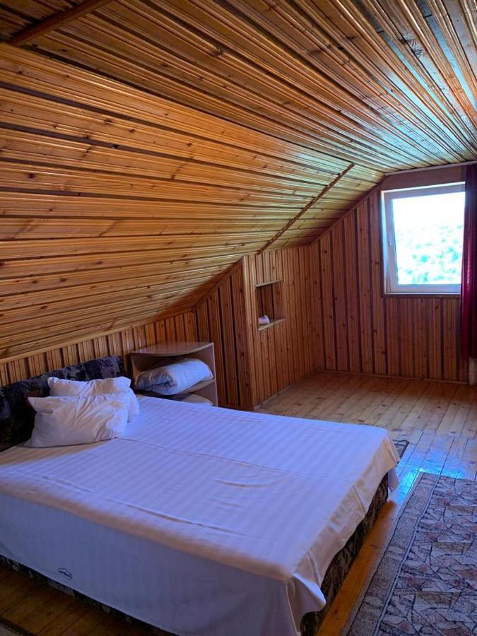 Casa Lorena Sărata-Monteoru エクステリア 写真