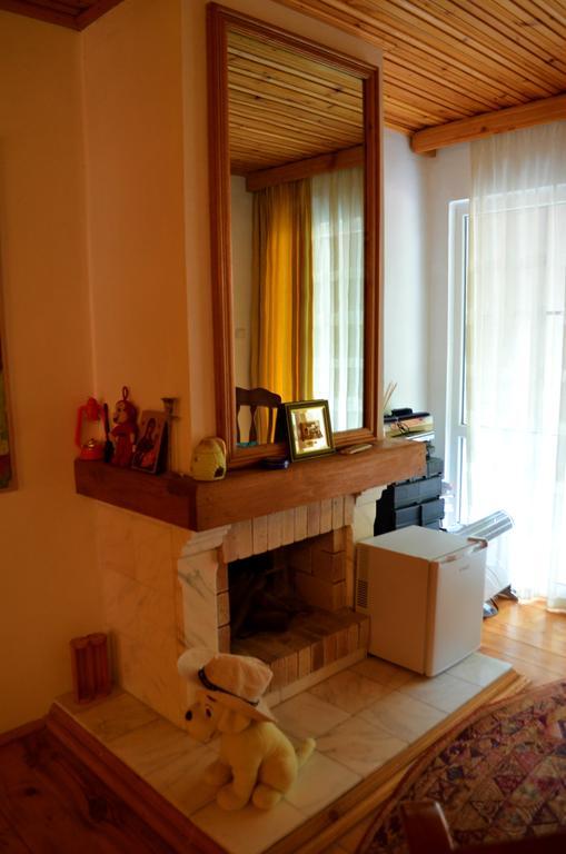 Casa Lorena Sărata-Monteoru エクステリア 写真
